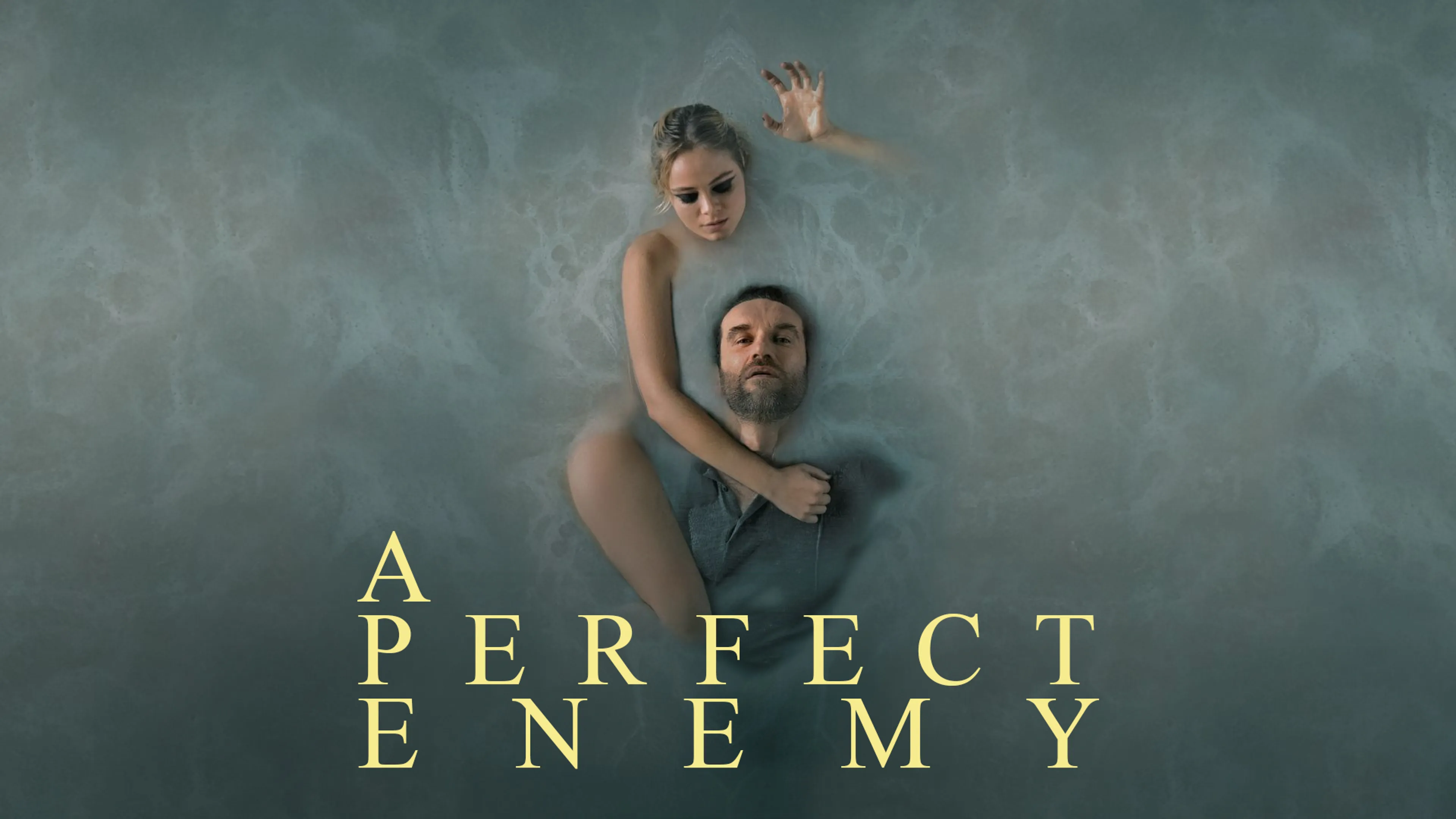 A Perfect Enemy poster